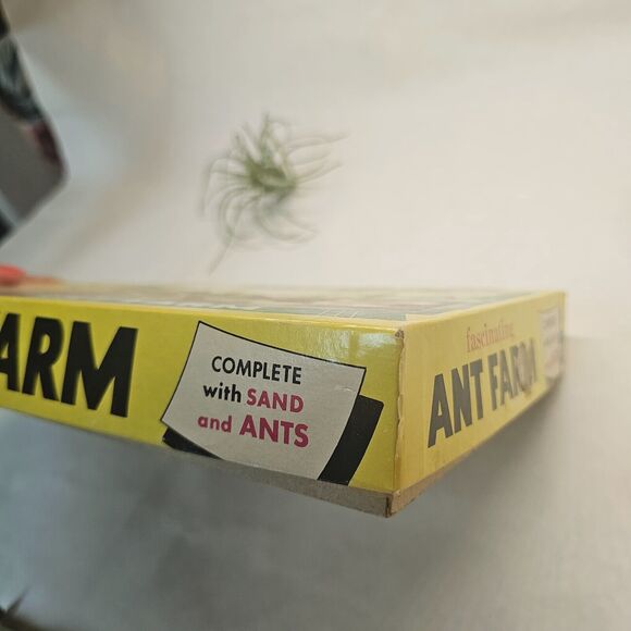 Vintage Ant Farm 1959 Fascinating Never Used EIC Grossman (no) Live Ants! Older - Picture 9 of 15